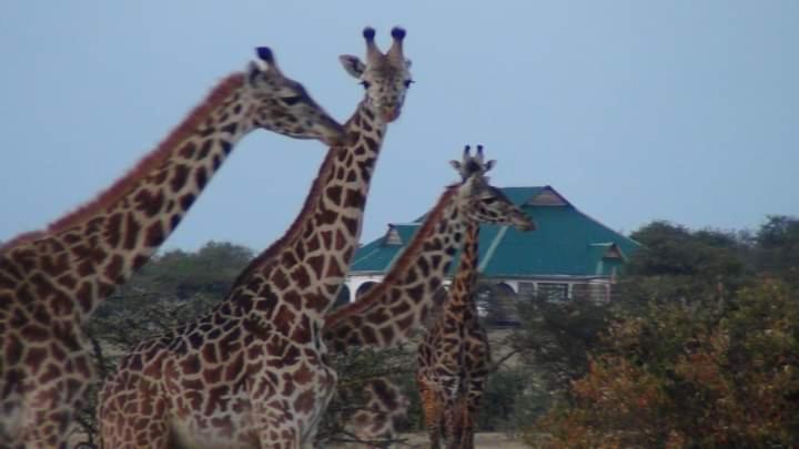 Narasha Homestay - Maasai Mara Talek Exteriér fotografie