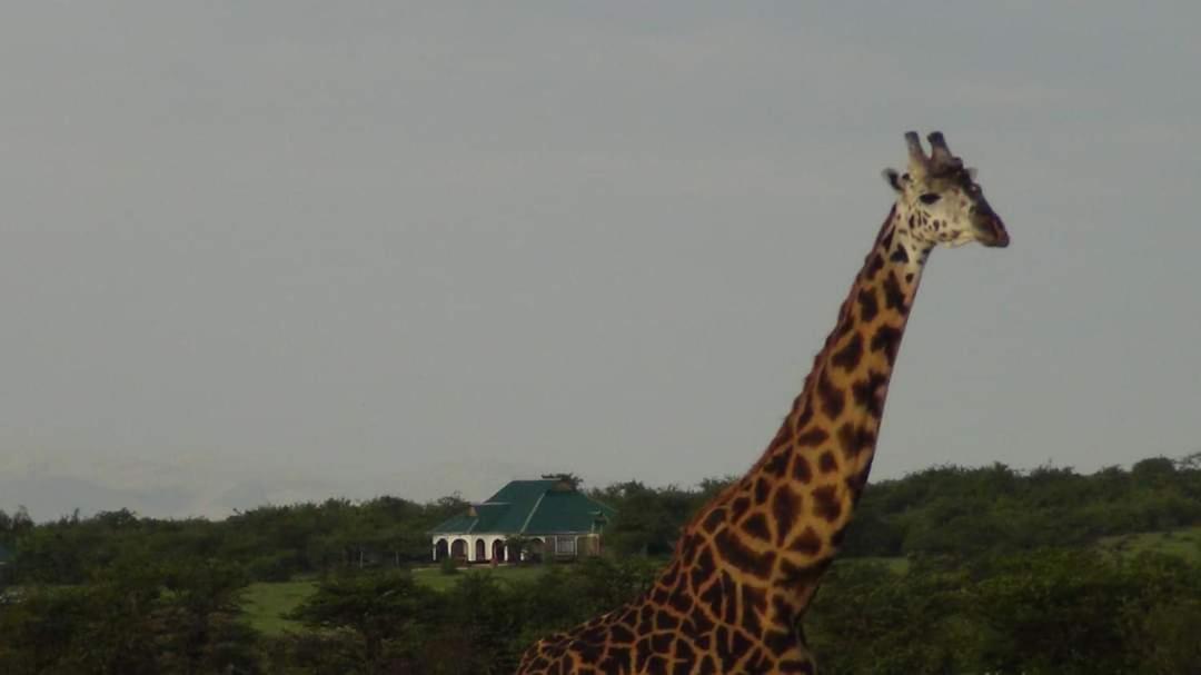 Narasha Homestay - Maasai Mara Talek Exteriér fotografie