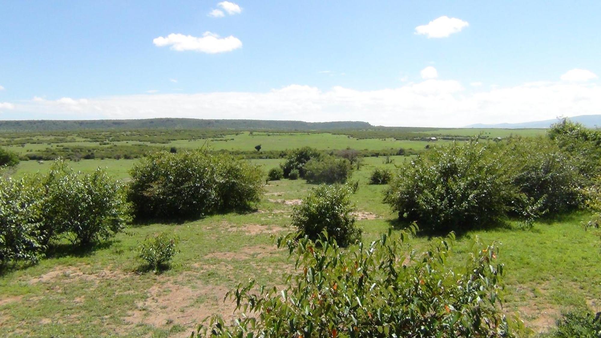 Narasha Homestay - Maasai Mara Talek Pokoj fotografie