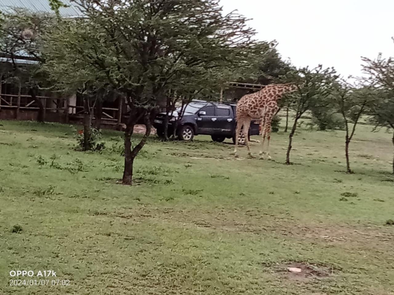Narasha Homestay - Maasai Mara Talek Pokoj fotografie