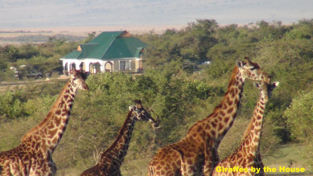 Narasha Homestay - Maasai Mara Talek Exteriér fotografie