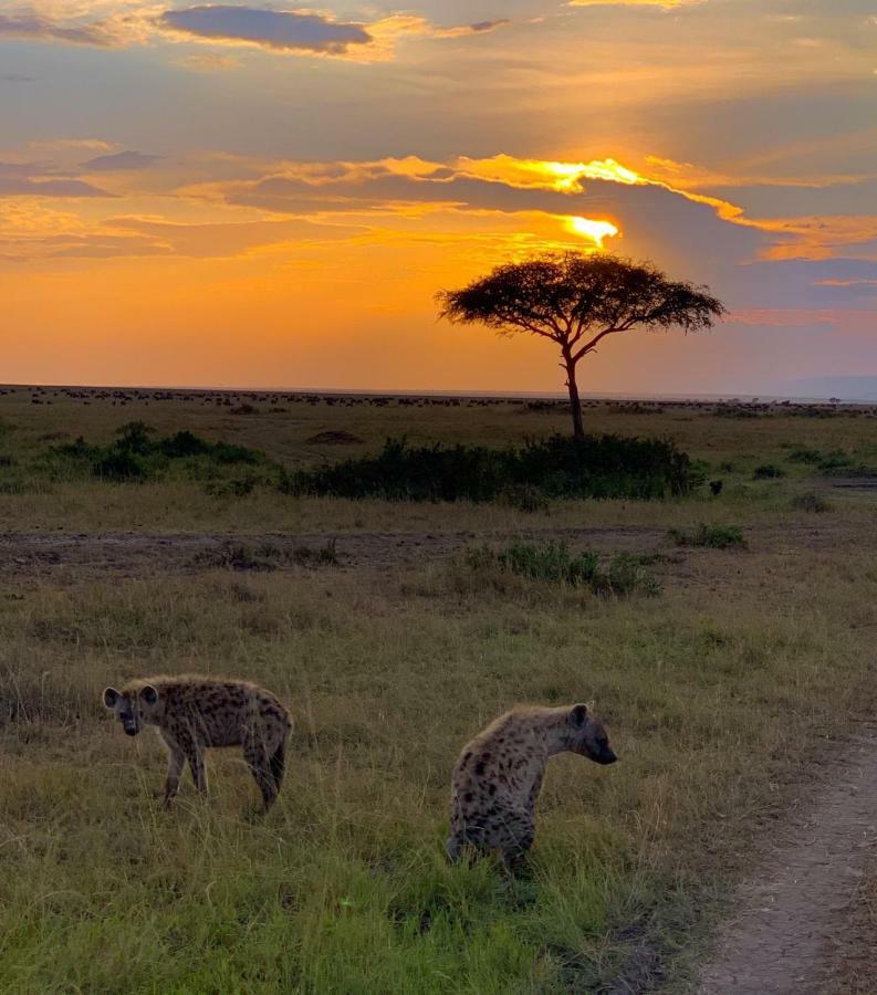 Narasha Homestay - Maasai Mara Talek Exteriér fotografie
