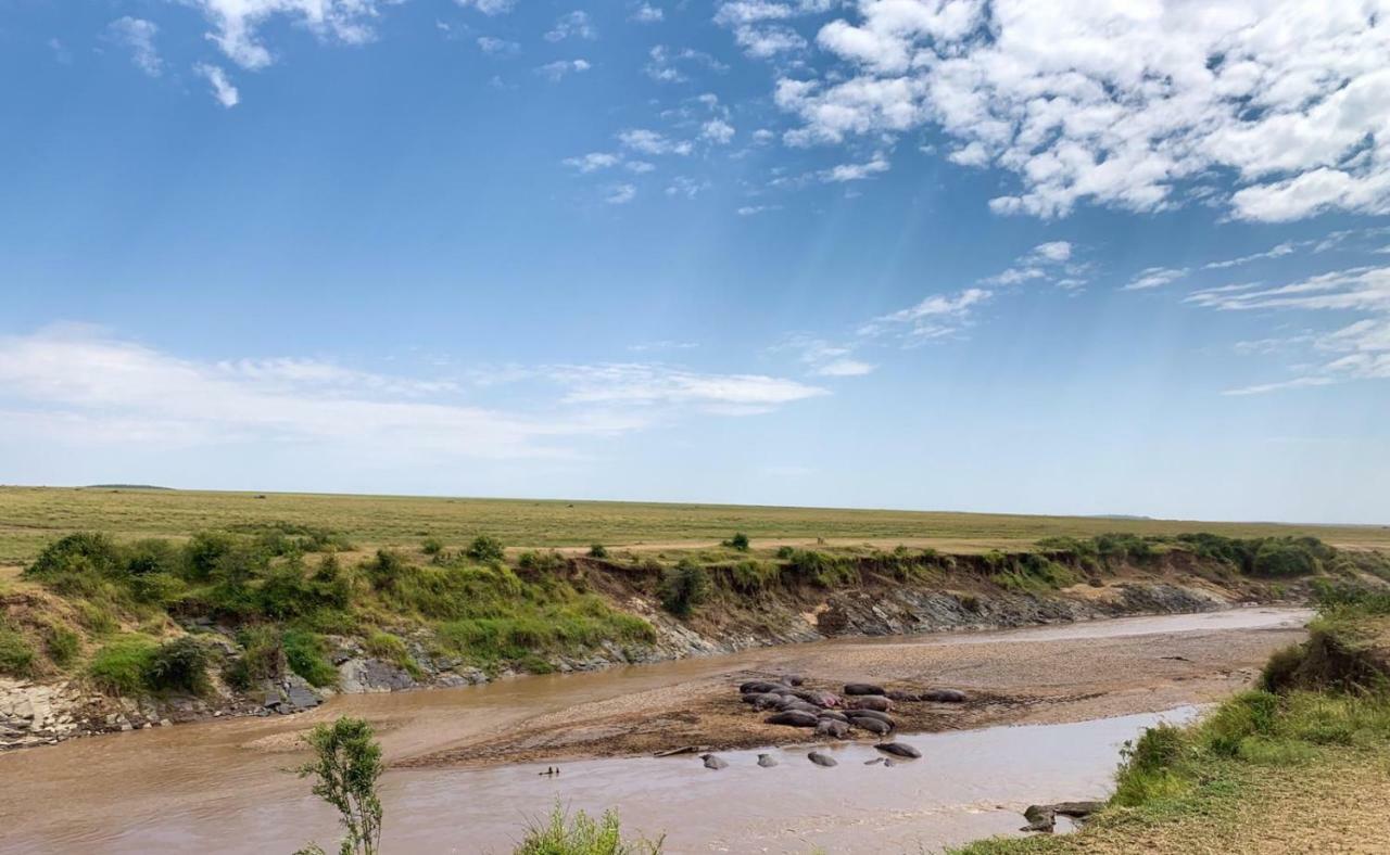 Narasha Homestay - Maasai Mara Talek Exteriér fotografie